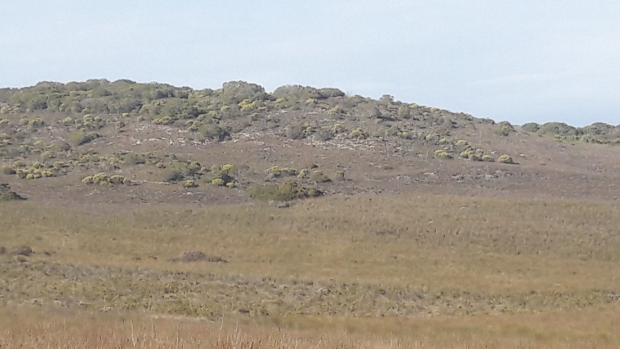 1 Bedroom Property for Sale in Riversdale Rural Western Cape
